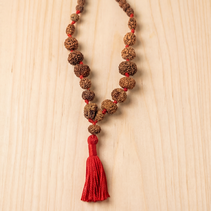 1 - 14 Mukhi Rudraksha Mala with Gauri Shankar and Ganesha beads