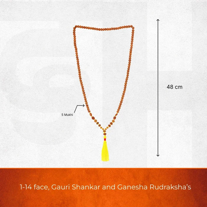 1 - 14 Mukhi Rudraksha Mala - complete 1 to 14 Mukhi bead strand