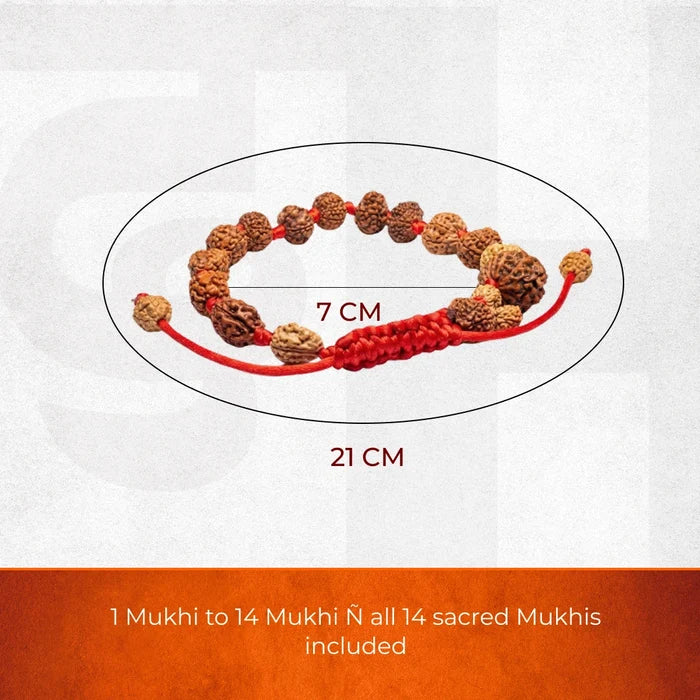 1-14 Mukhi Rudraksha Bracelet