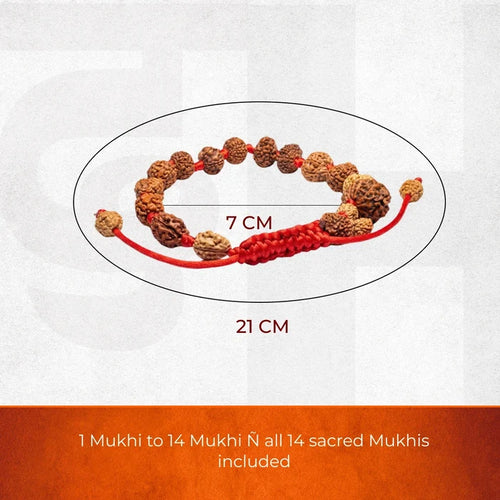 1-14 Mukhi Rudraksha Bracelet