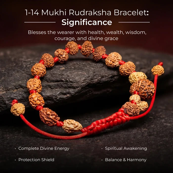 1-14 Mukhi Rudraksha Bracelet - view 2