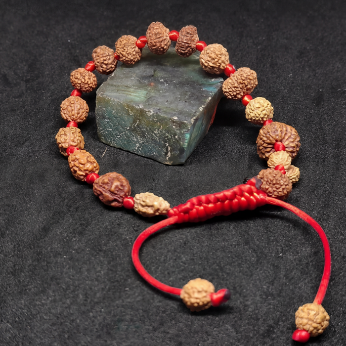 1-14 Mukhi Rudraksha Bracelet - view 4