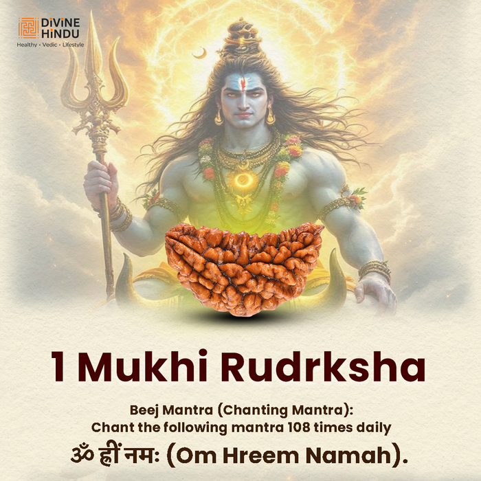 1 Mukhi Lab Certified Rudraksha - view 2