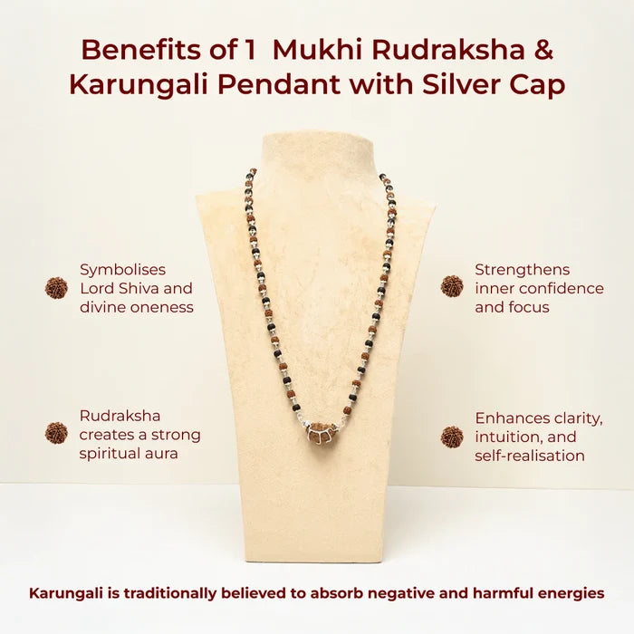 1 Mukhi Rudraksha & Karungali Pendant with Silver Cap - view 2