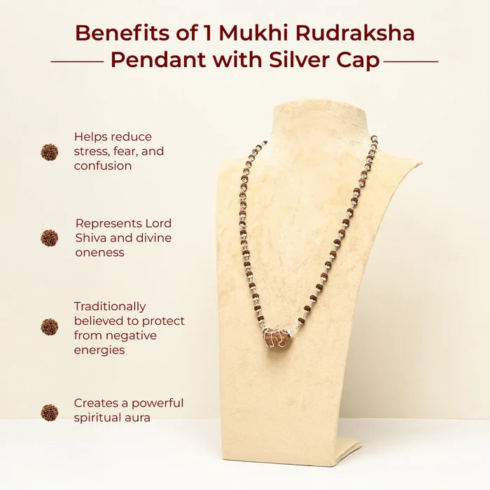 1 Mukhi Rudraksha Pendant with Silver Cap