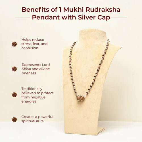 1 Mukhi Rudraksha Pendant with Silver Cap