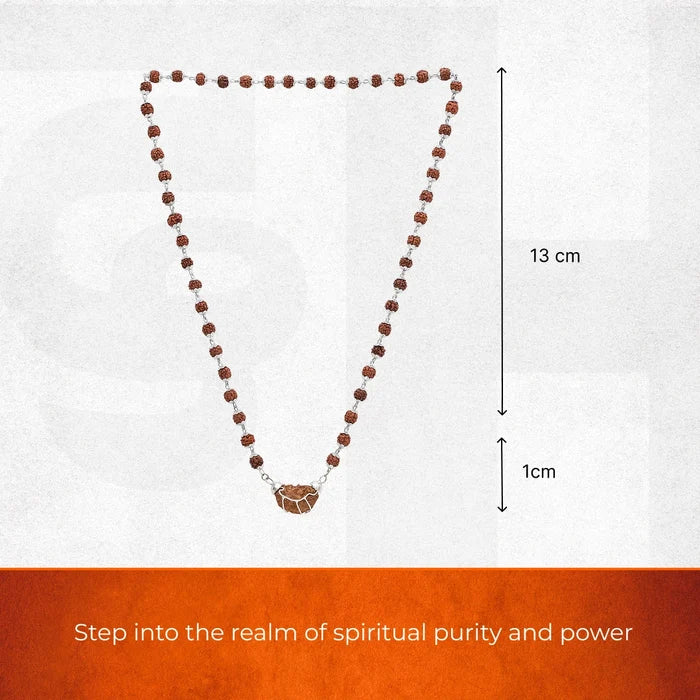 1 Mukhi Rudraksha Pendant with Silver Cap - view 2