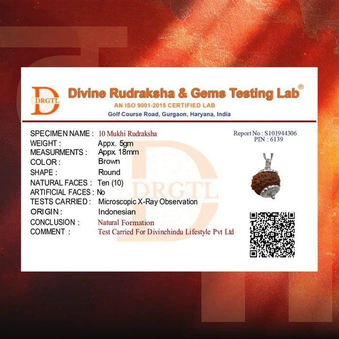 10 Mukhi Lab Tested Certified Rudraksha - view 5