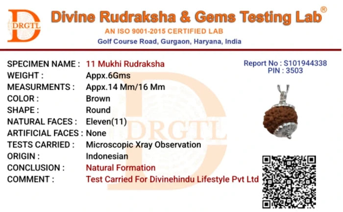 11 Mukhi Lab Tested Certified Rudraksha - view 5
