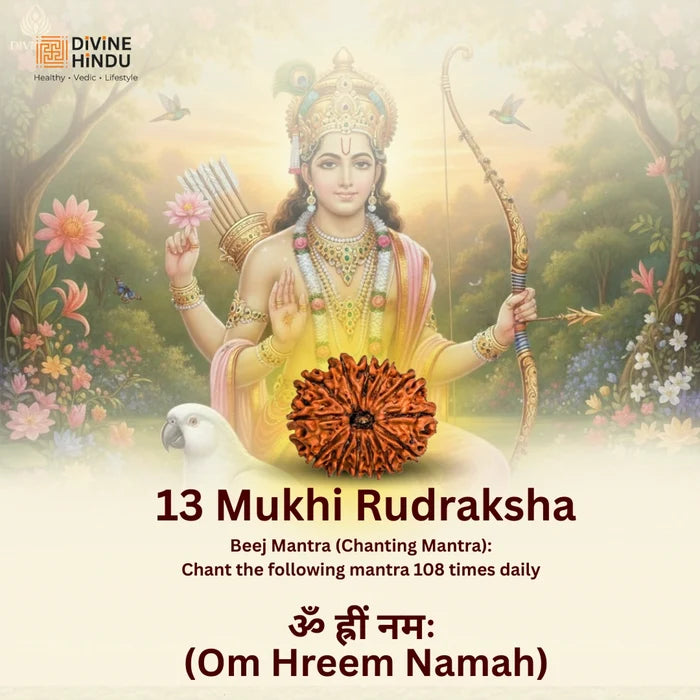 13 Mukhi Lab Tested Certified Rudraksha - view 3