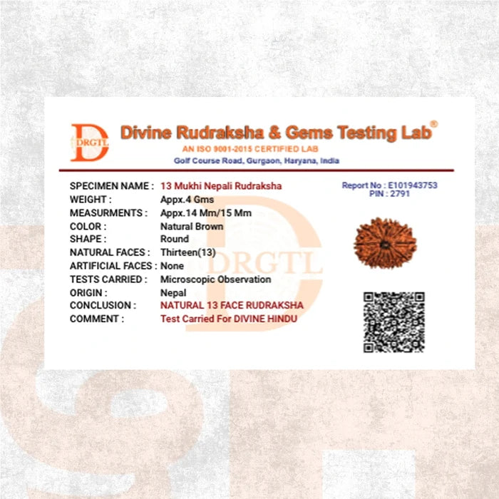 13 Mukhi Lab Tested Certified Rudraksha - view 6