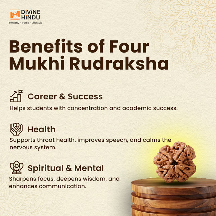 4 Mukhi Rudraksha | Benefits of 4 Mukhi Rudraksha