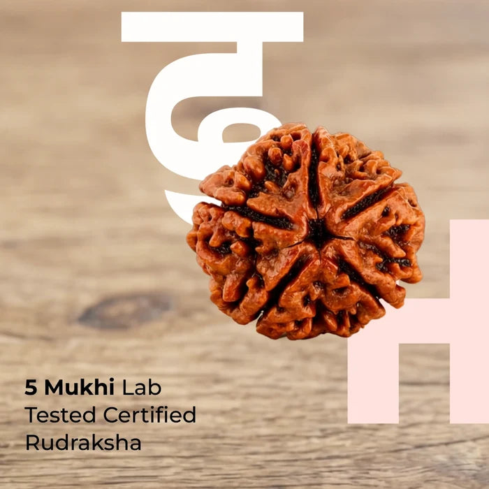 5 Mukhi Lab Tested Certified Nepali Rudraksha