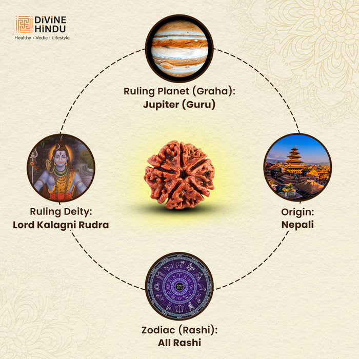 Ruling Planet | Ruling Deity | Origin | Zodiac of 5 Mukhi Rudraksha