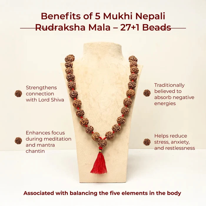 5 Mukhi Nepali Rudraksha Mala – 54+1 Beads