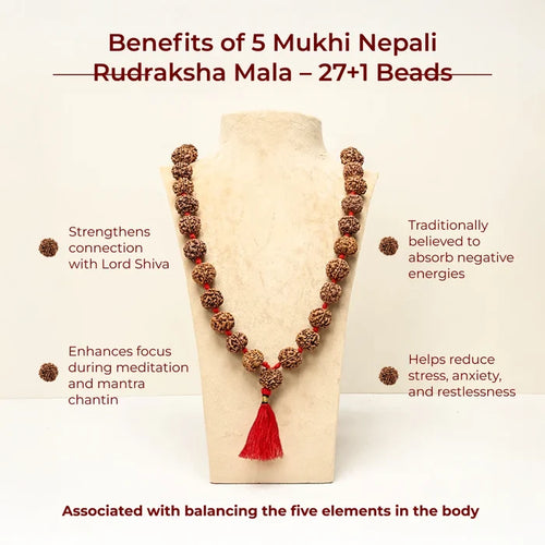 5 Mukhi Nepali Rudraksha Mala – 54+1 Beads