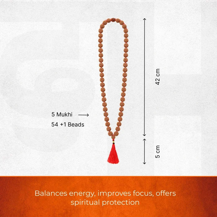 5 Mukhi Nepali Rudraksha Mala – 54+1 Beads - view 2