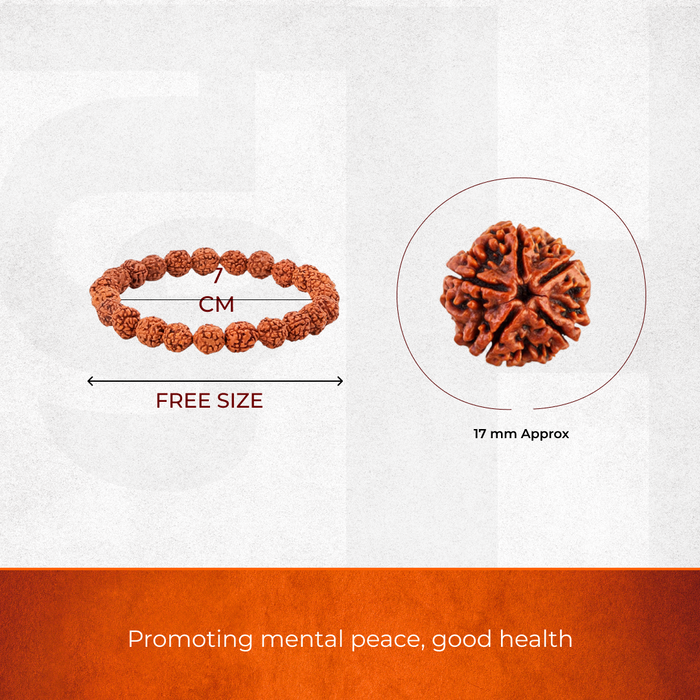 5 Mukhi Rudraksha Bracelet and Bead for Peace and Balance combo - view 3