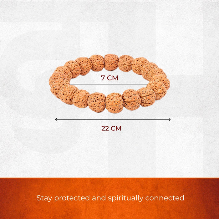 5 Mukhi Rudraksha Bracelet - view 2