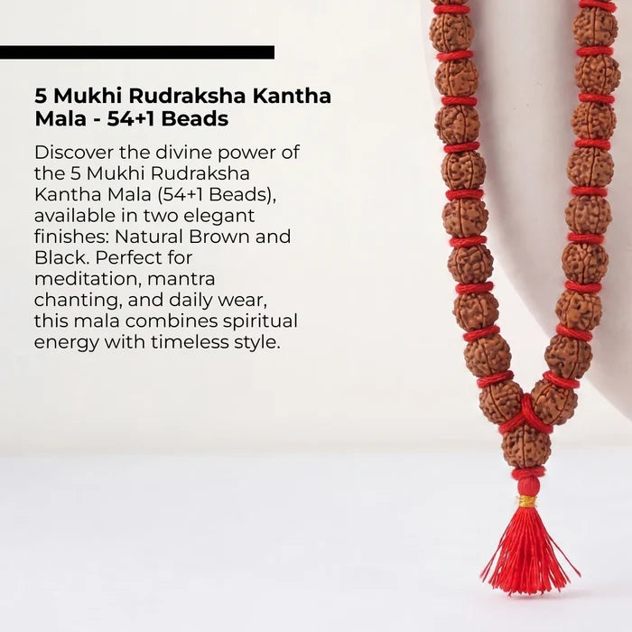 5 Mukhi Rudraksha Kantha Mala - 54+1 Beads | Natural & Lab-Certified