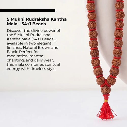 5 Mukhi Rudraksha Kantha Mala - 54+1 Beads | Natural & Lab-Certified