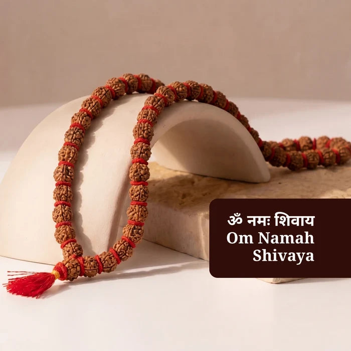 5 Mukhi Rudraksha Kantha Mala - 54+1 Beads | Natural & Lab-Certified - view 2