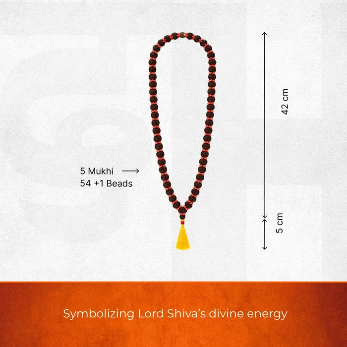 5 Mukhi Rudraksha Kantha Mala - 54+1 Beads | Natural & Lab-Certified - view 3