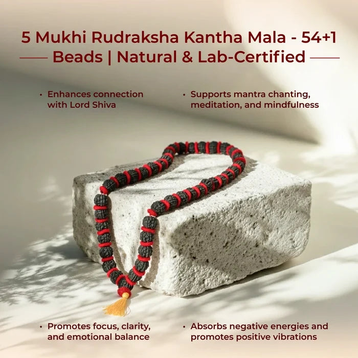 5 Mukhi Rudraksha Kantha Mala - 54+1 Beads | Natural & Lab-Certified - view 4