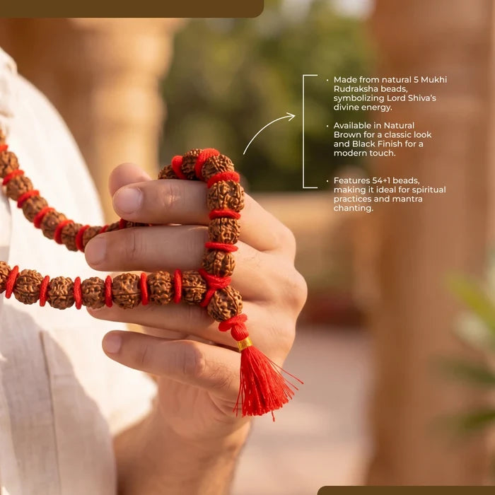 5 Mukhi Rudraksha Kantha Mala - 54+1 Beads | Natural & Lab-Certified - view 5