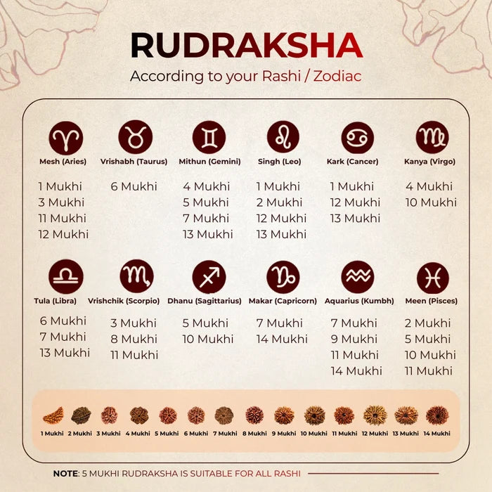 X-ray lab test certificate for genuine Nepali Rudraksha beads