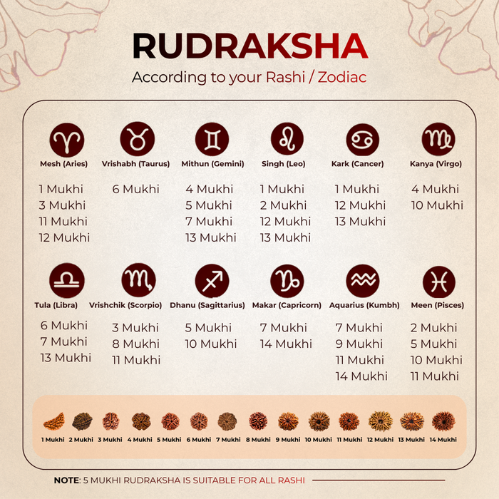 7 Mukhi Lab Tested Certified Nepali Rudraksha (18 - 20mm) - view 3