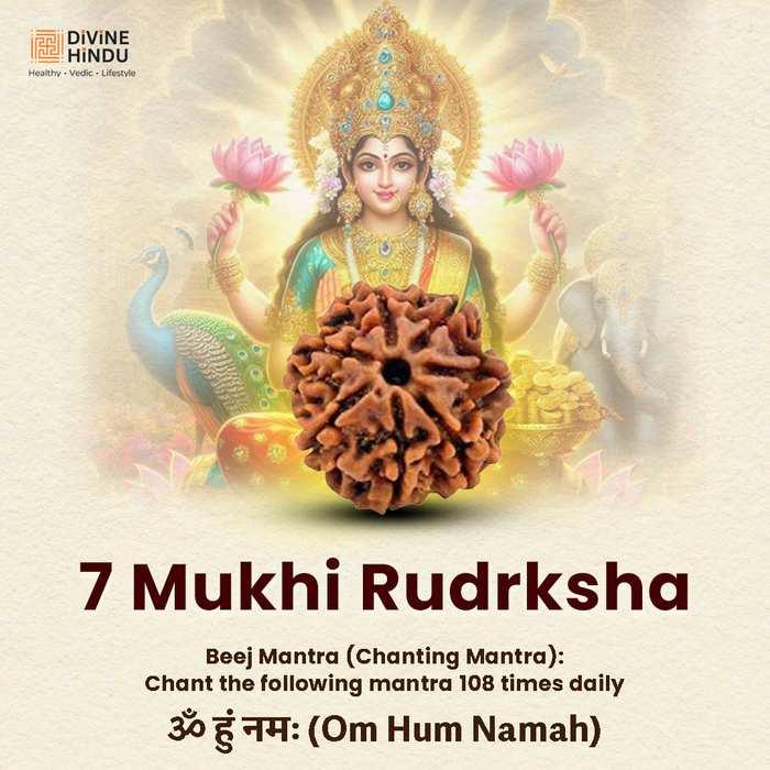 7 Mukhi Lab Tested Certified Nepali Rudraksha (18 - 20mm) - view 5