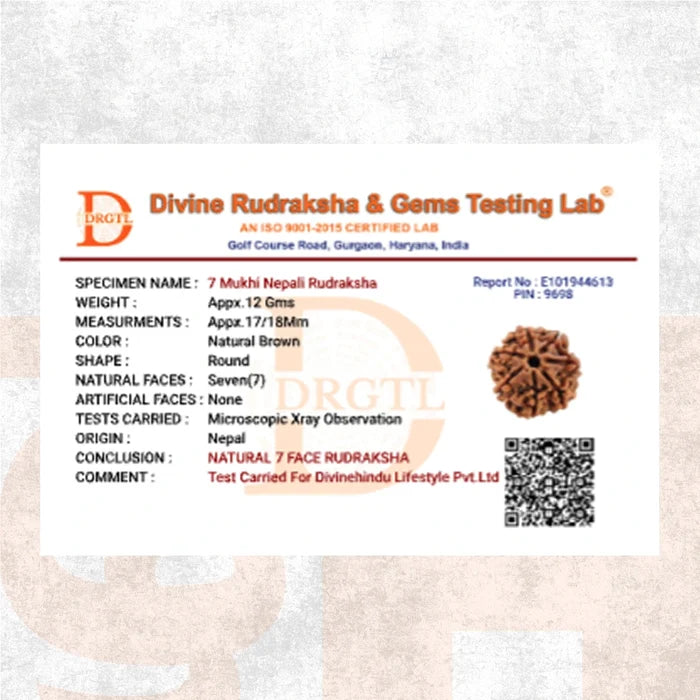 7 Mukhi Lab Tested Certified Nepali Rudraksha (18 - 20mm) - view 6