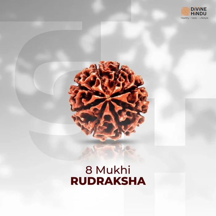 8 Mukhi Lab Tested Certified Rudraksha