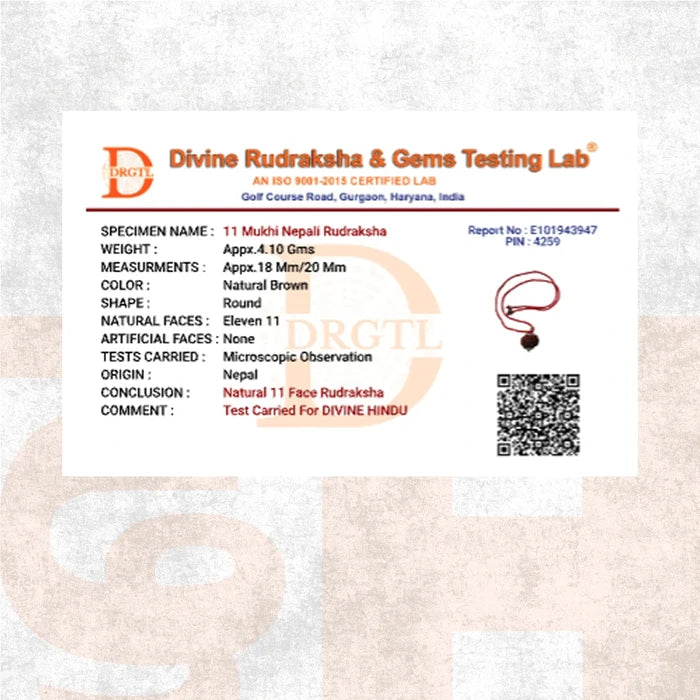 8 Mukhi Lab Tested Certified Rudraksha - view 4