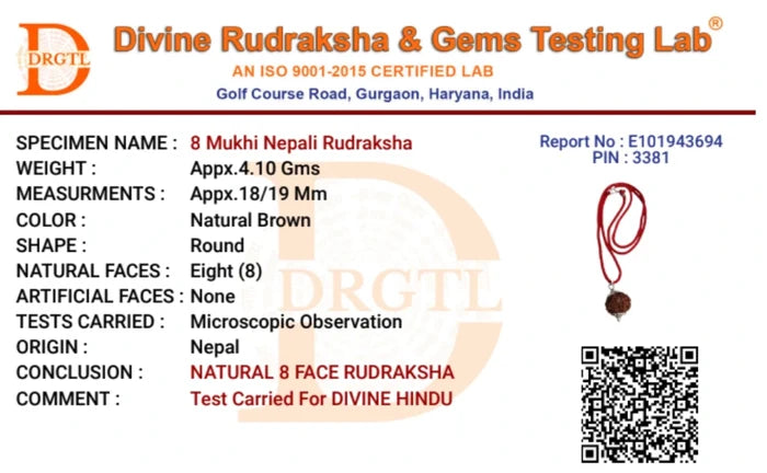 8 Mukhi Lab Tested Certified Rudraksha - view 5