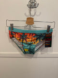 Hawaii Swimbrief
