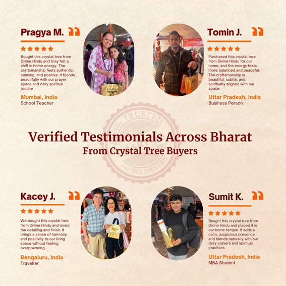 Reviews