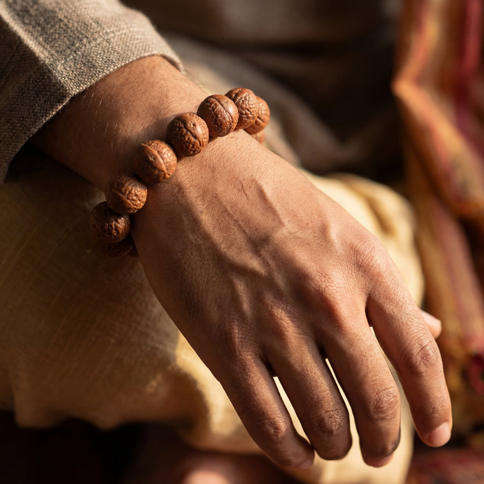 Bodhi Seed Third Eye Bracelet