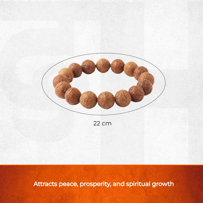 Bodhi Seed Third Eye Bracelet - view 2