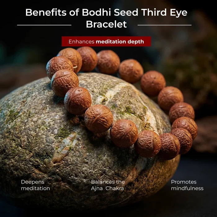 Bodhi Seed Third Eye Bracelet - view 3