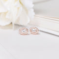 Circle of Radiance Rose Gold-Plated Cubic Zirconia 925 Sterling Silver Earrings
