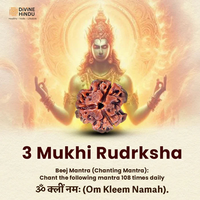 Dhanwantari Kavach (Health Kavach) - view 3