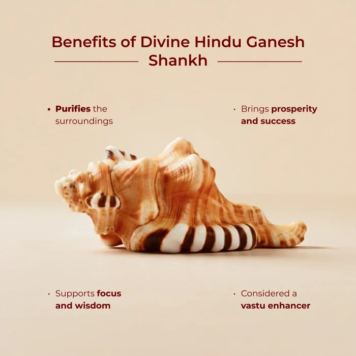 Divine Hindu Ganesh Shankh - view 3