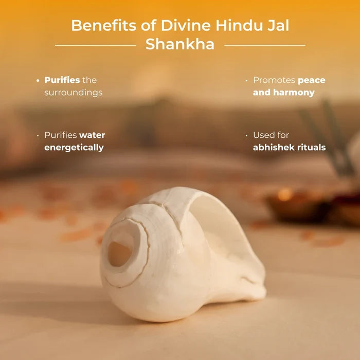 Divine Hindu Jal Shankha - view 3
