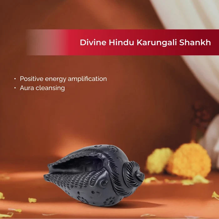 Divine Hindu Karungali Shankh For Pooja - view 2