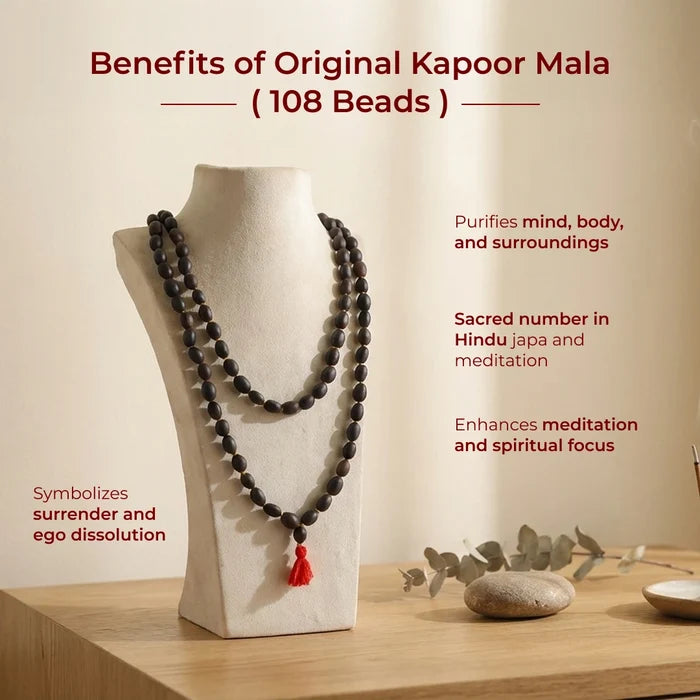 Divine Hindu Lotus Seed Jaap Mala 108 Beads (Kamal Gatta) - view 3