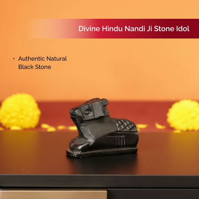 Divine Hindu Nandi Ji Stone Idol