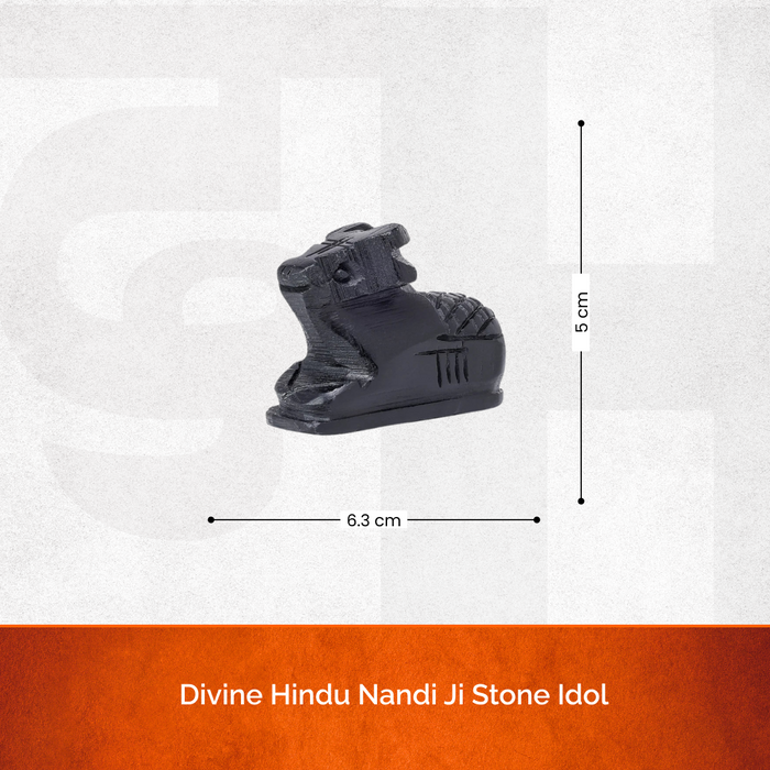 Divine Hindu Nandi Ji Stone Idol - view 3