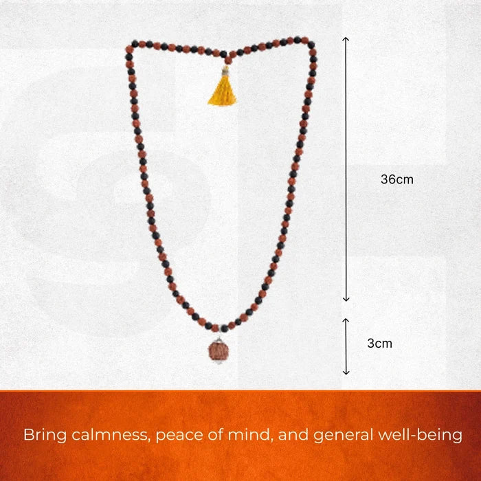 Divine Karungali & Rudraksha Mala with Sacred Mukhi Rudraksha - view 2